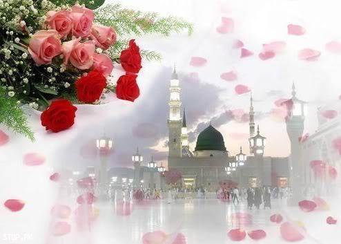 madina-phool